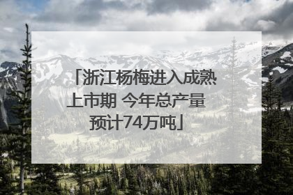 浙江杨梅进入成熟上市期 今年总产量预计74万吨