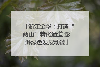 浙江金华：打通“两山”转化通道 澎湃绿色发展动能