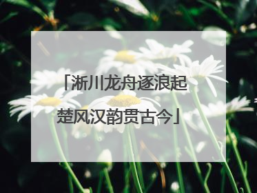 淅川龙舟逐浪起 楚风汉韵贯古今