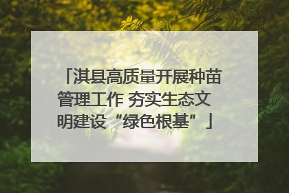 淇县高质量开展种苗管理工作 夯实生态文明建设“绿色根基”