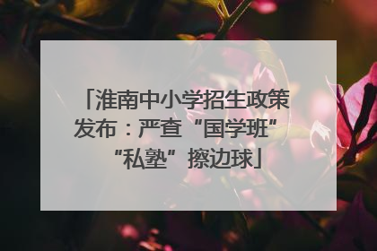 淮南中小学招生政策发布：严查“国学班”“私塾”擦边球