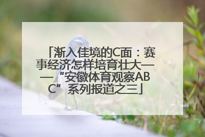 渐入佳境的C面：赛事经济怎样培育壮大——“安徽体育观察ABC”系列报道之三