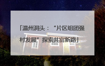 温州洞头：“片区组团强村发展”探索共富新路