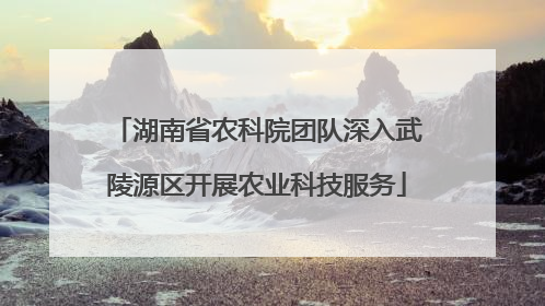 湖南省农科院团队深入武陵源区开展农业科技服务