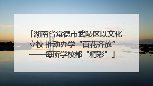 湖南省常德市武陵区以文化立校 推动办学“百花齐放”——每所学校都“精彩”