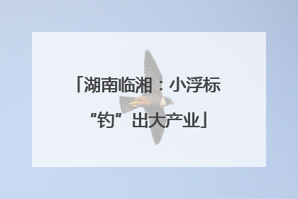湖南临湘：小浮标“钓”出大产业