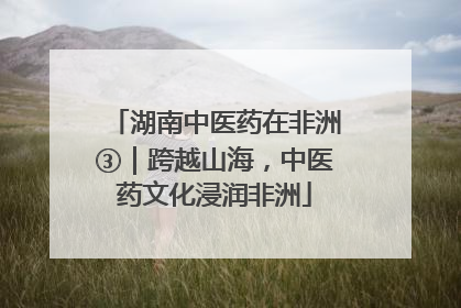 湖南中医药在非洲③｜跨越山海，中医药文化浸润非洲