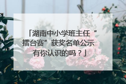 湖南中小学班主任“擂台赛”获奖名单公示 有你认识的吗？