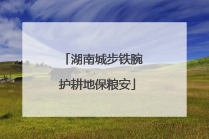 湖南城步铁腕护耕地保粮安