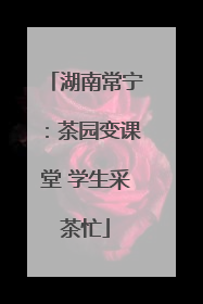 湖南常宁：茶园变课堂 学生采茶忙