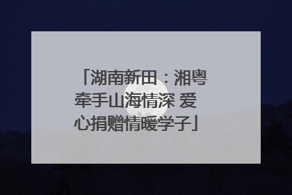 湖南新田：湘粤牵手山海情深 爱心捐赠情暖学子