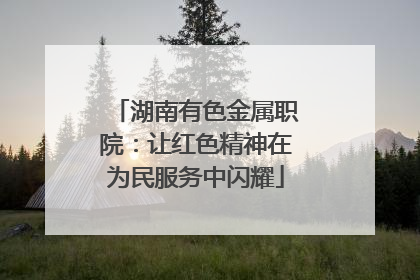 湖南有色金属职院：让红色精神在为民服务中闪耀