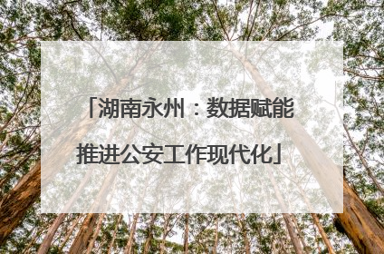 湖南永州：数据赋能推进公安工作现代化