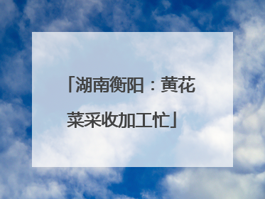 湖南衡阳：黄花菜采收加工忙