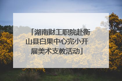 湖南财工职院赴衡山县白果中心完小开展美术支教活动