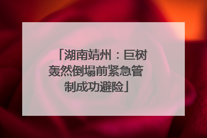 湖南靖州：巨树轰然倒塌前紧急管制成功避险