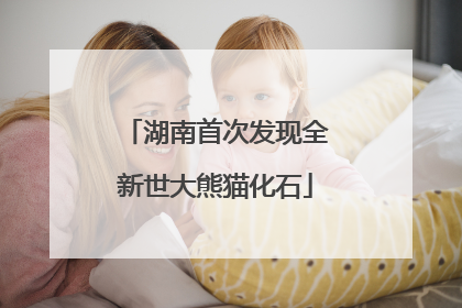 湖南首次发现全新世大熊猫化石