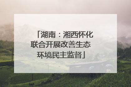 湖南：湘西怀化联合开展改善生态环境民主监督