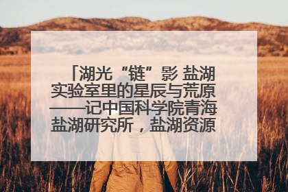 湖光“链”影 盐湖实验室里的星辰与荒原——记中国科学院青海盐湖研究所，盐湖资源化学实验室党总支书记、副主任刘忠