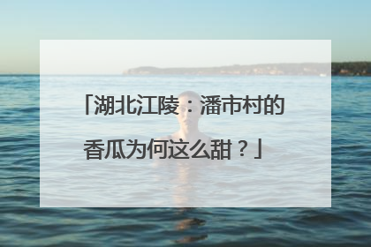 湖北江陵：潘市村的香瓜为何这么甜？