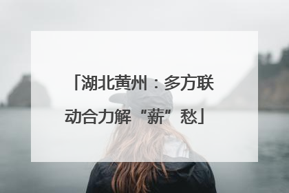 湖北黄州：多方联动合力解“薪”愁