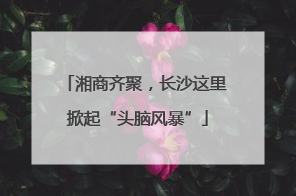 湘商齐聚，长沙这里掀起“头脑风暴”
