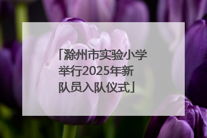 滁州市实验小学举行2025年新队员入队仪式