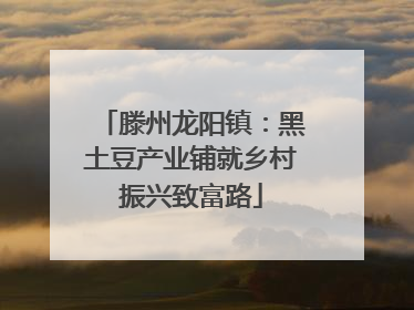 滕州龙阳镇：黑土豆产业铺就乡村振兴致富路