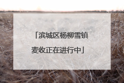 滨城区杨柳雪镇麦收正在进行中