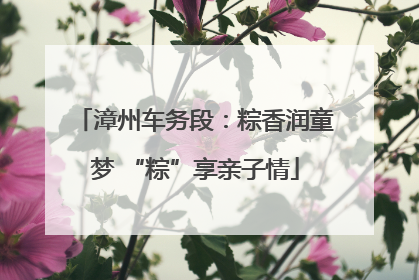 漳州车务段：粽香润童梦 “粽”享亲子情