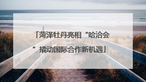 菏泽牡丹亮相“哈洽会”撬动国际合作新机遇