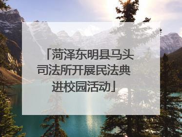 菏泽东明县马头司法所开展民法典进校园活动