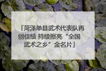 菏泽单县武术代表队再创佳绩 持续擦亮“全国武术之乡”金名片