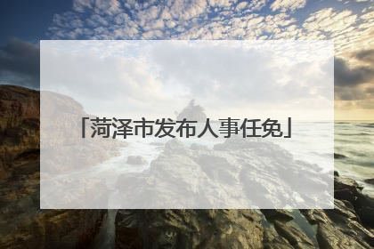 菏泽市发布人事任免
