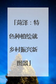 菏泽：特色种植绘就乡村振兴新图景