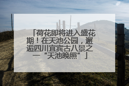 荷花即将进入盛花期！在天池公园，邂逅四川宜宾古八景之一“天池晚照”