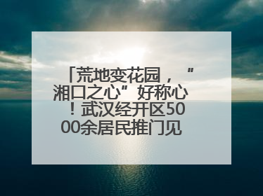 荒地变花园，“湘口之心”好称心！武汉经开区5000余居民推门见绿满眼风景