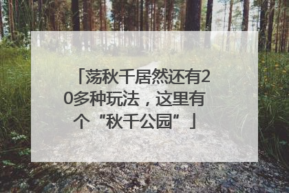 荡秋千居然还有20多种玩法，这里有个“秋千公园”