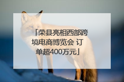 荣县亮相西部跨境电商博览会 订单超400万元