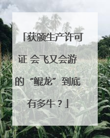 获颁生产许可证 会飞又会游的“鲲龙”到底有多牛？