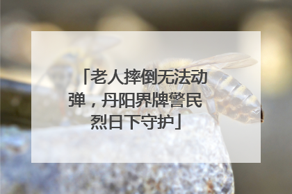 老人摔倒无法动弹，丹阳界牌警民烈日下守护