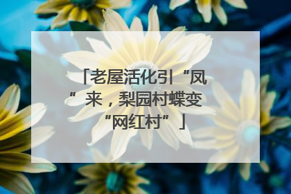 老屋活化引“凤”来，梨园村蝶变“网红村”