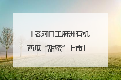 老河口王府洲有机西瓜“甜蜜”上市