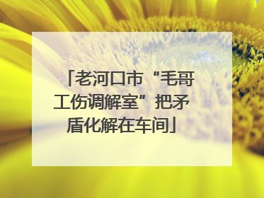 老河口市“毛哥工伤调解室”把矛盾化解在车间