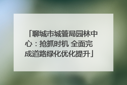 聊城市城管局园林中心：抢抓时机 全面完成道路绿化优化提升