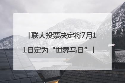 联大投票决定将7月11日定为“世界马日”