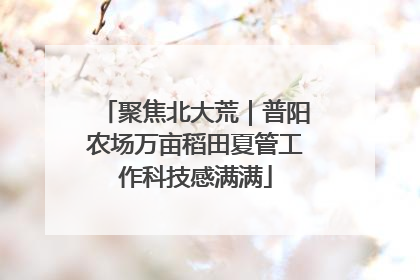 聚焦北大荒｜普阳农场万亩稻田夏管工作科技感满满