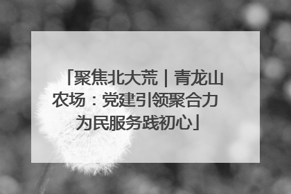 聚焦北大荒｜青龙山农场：党建引领聚合力 为民服务践初心