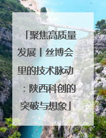 聚焦高质量发展丨丝博会里的技术脉动：陕西科创的突破与想象