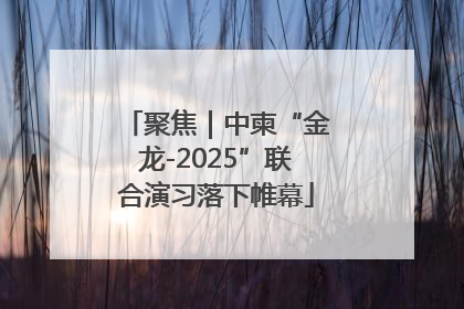聚焦｜中柬“金龙-2025”联合演习落下帷幕